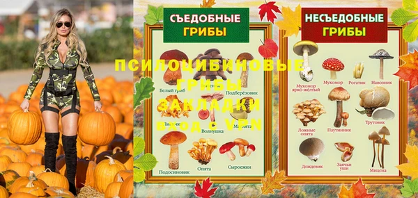 круглые Абаза